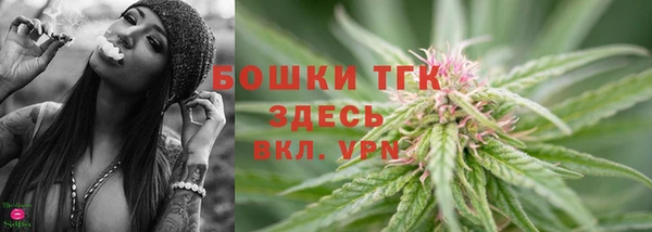 ПСИЛОЦИБИНОВЫЕ ГРИБЫ Вяземский