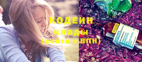ПСИЛОЦИБИНОВЫЕ ГРИБЫ Вяземский