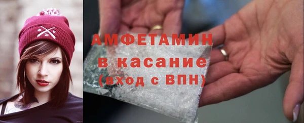 ПСИЛОЦИБИНОВЫЕ ГРИБЫ Вяземский