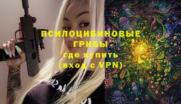ПСИЛОЦИБИНОВЫЕ ГРИБЫ Вяземский