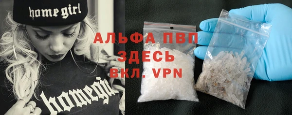 ПСИЛОЦИБИНОВЫЕ ГРИБЫ Вяземский