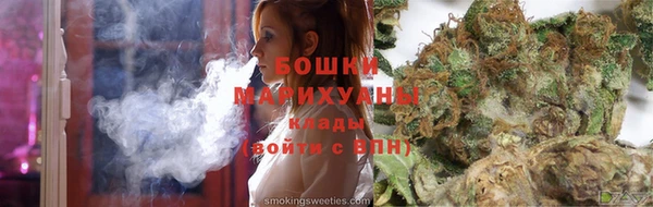 ПСИЛОЦИБИНОВЫЕ ГРИБЫ Вяземский