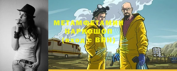 ПСИЛОЦИБИНОВЫЕ ГРИБЫ Вяземский