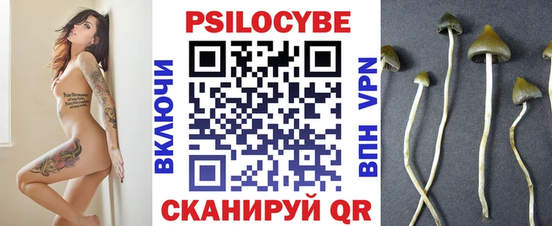 Купить  Лесозаводск  Галлюциногенные грибы Cubensis 